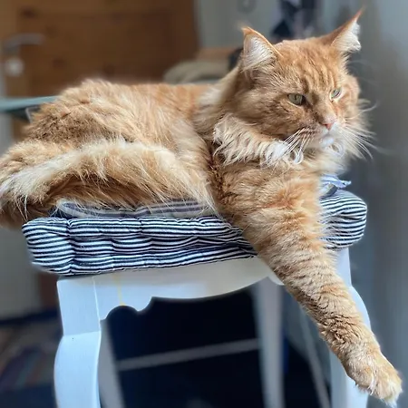 Vaerelse Midtfyn Heden * Ringe